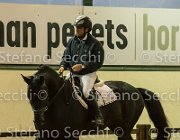 Lucky della Verdina TosTour2013- S5 3239 : Arezzo, Arezzo Equestrian Centre, Cavalli d'Italia, Lucky della Verdina, Toscana Tour 2013, foto di Stefano Secchi ©